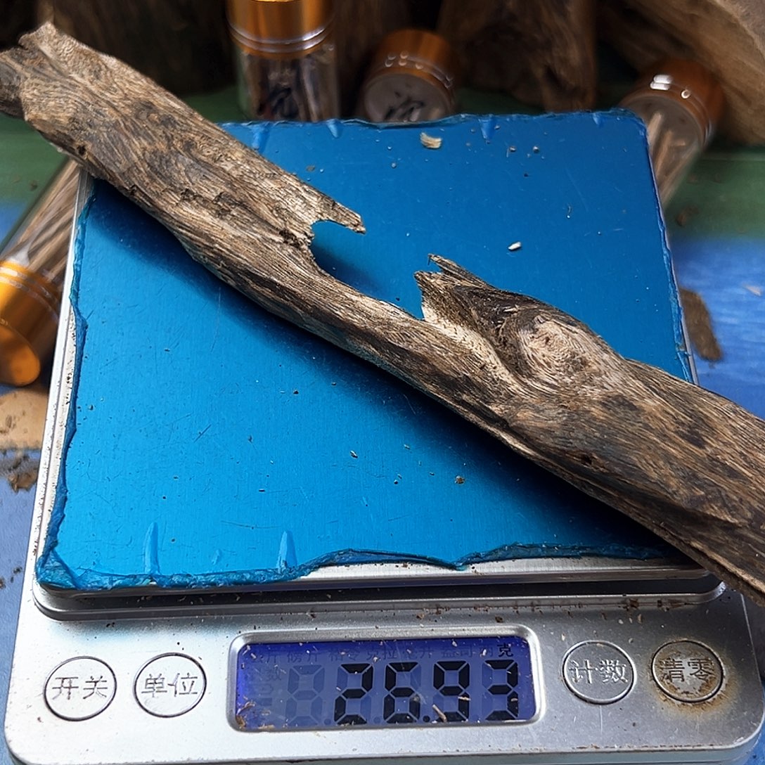 香料绿奇楠虫漏乌身圆叶26克