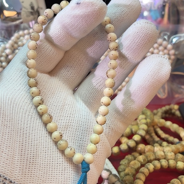 星月菩提手串6尺寸龙蛋