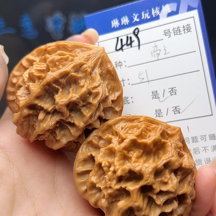 文玩核桃吊坠核桃树449