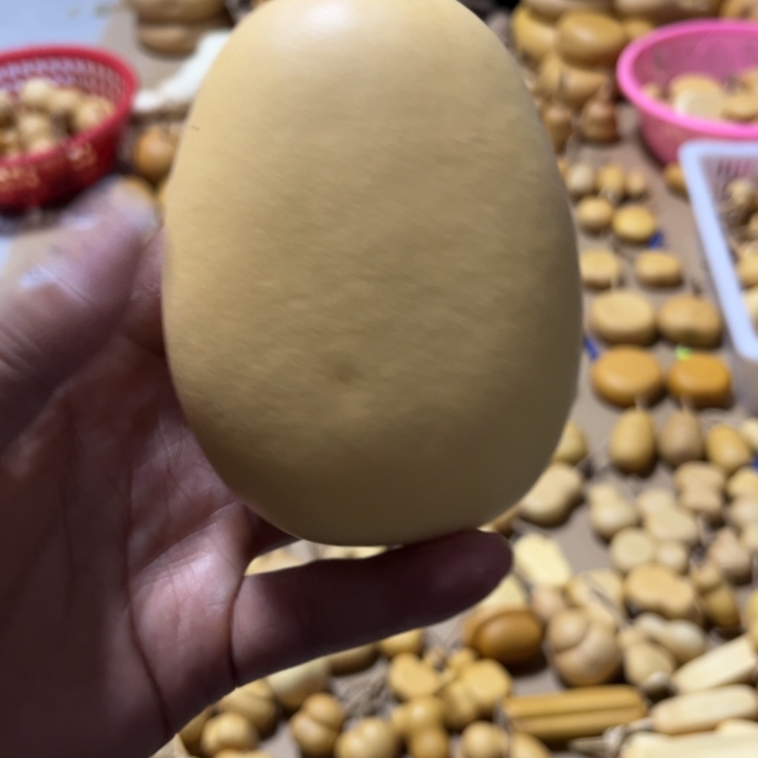 葫芦耶**?冬瓜扁不退不换