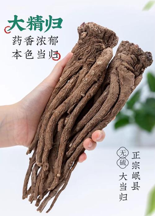 甘肃产地直发（当归大条）整根可煲汤泡酒的滋补品