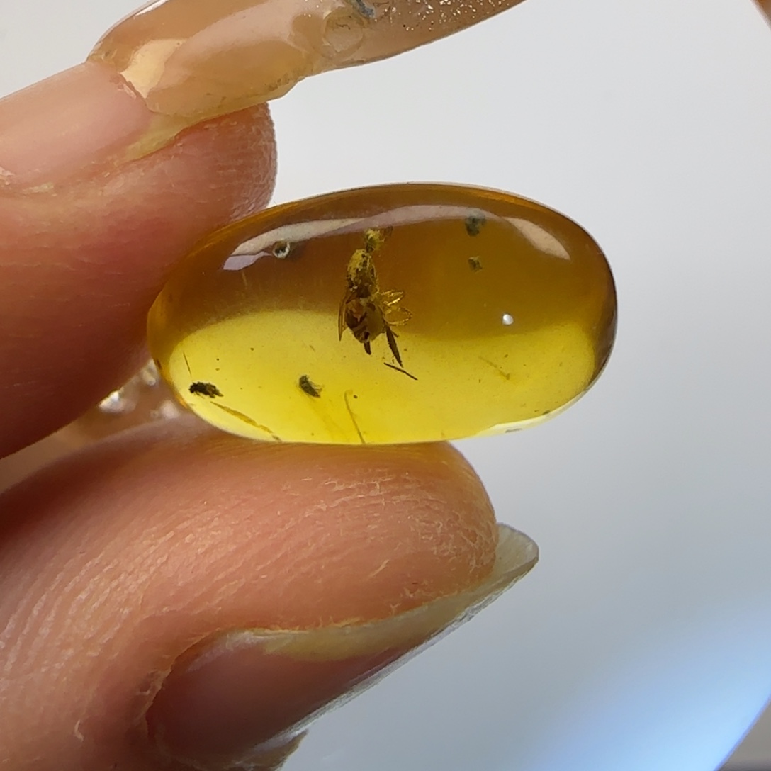 琥珀裸石未镶嵌蜂