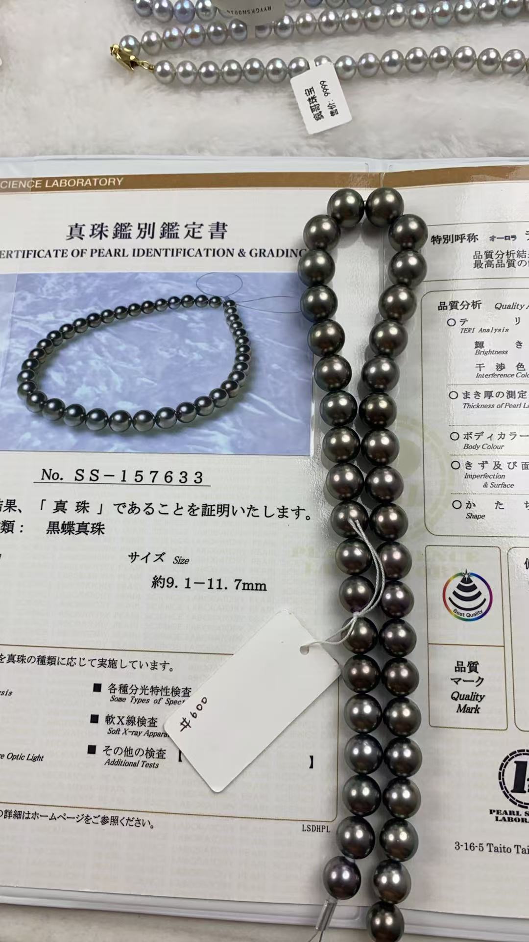 大溪地珍珠项链，9-12mm,ss真科研大证