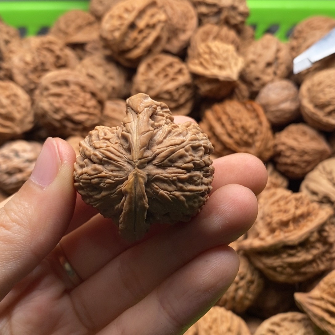 善***慧把件文玩核桃定制商品不退不换