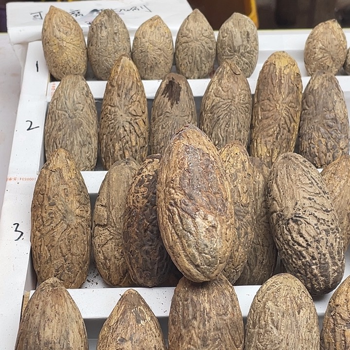 兔***空菩提1111111111111111111111111111