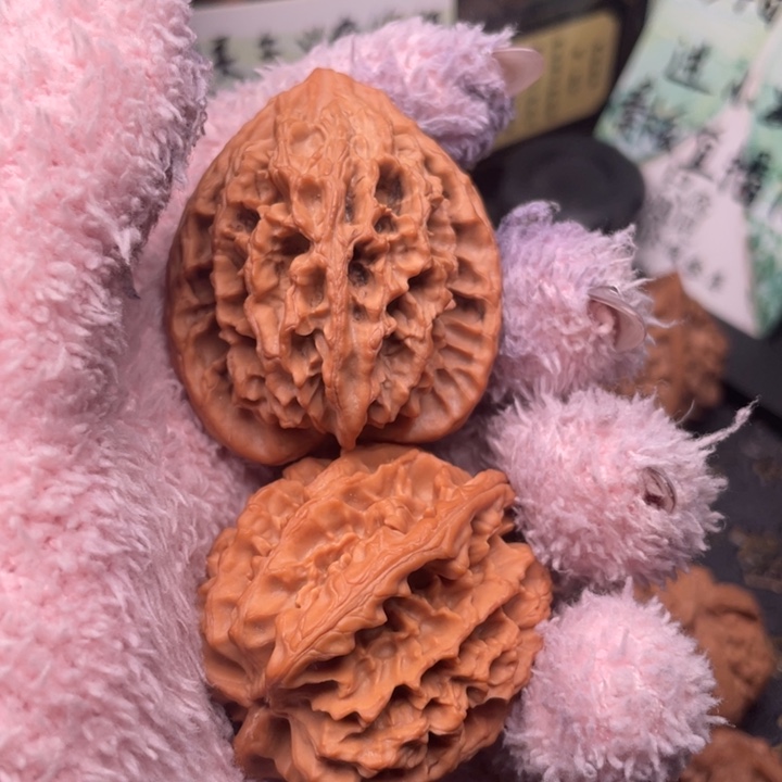 瑙***谷核桃41尺秦岭野生秦大龙