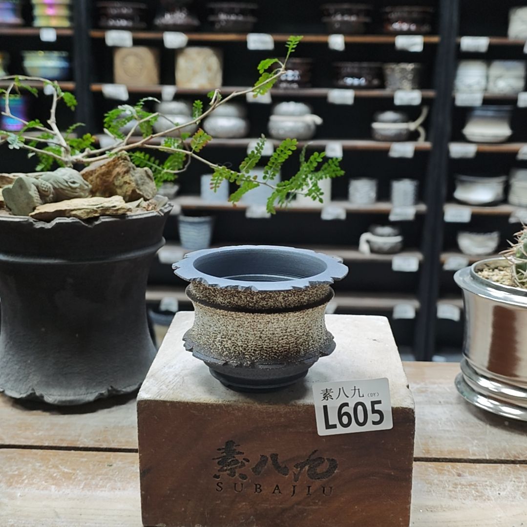 瓷素八九陶瓷内口7.5高6.5