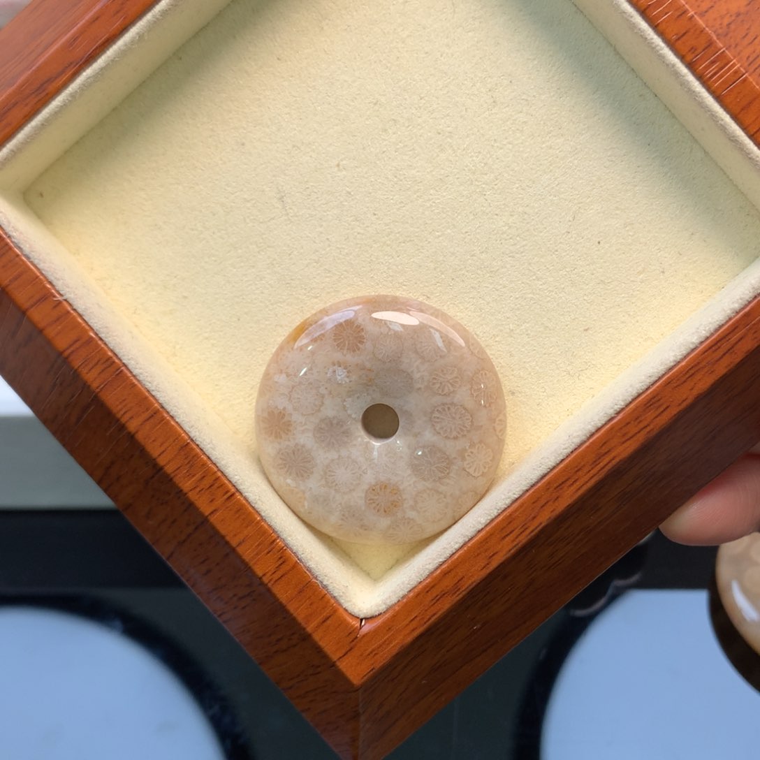 硅化珊瑚（珊瑚玉）颈饰未镶嵌35