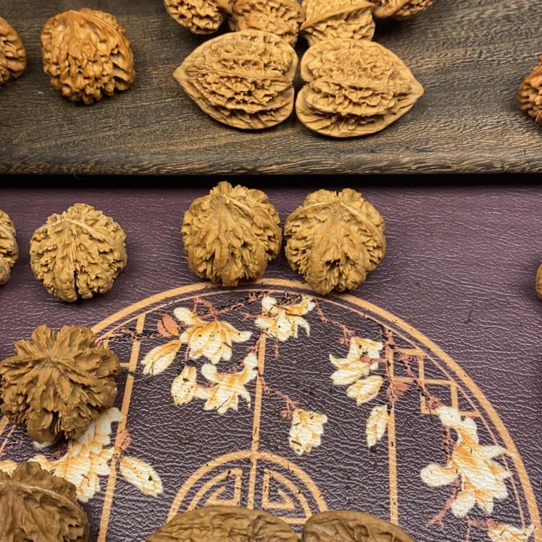 其**鹏秦岭南侧和东北北部部分