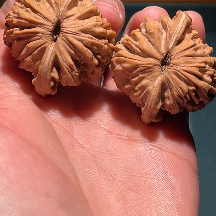 文玩核桃把件?**k41楼子