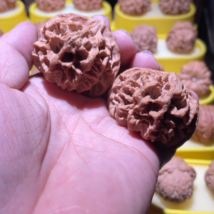 桃核吊坠帝王全品