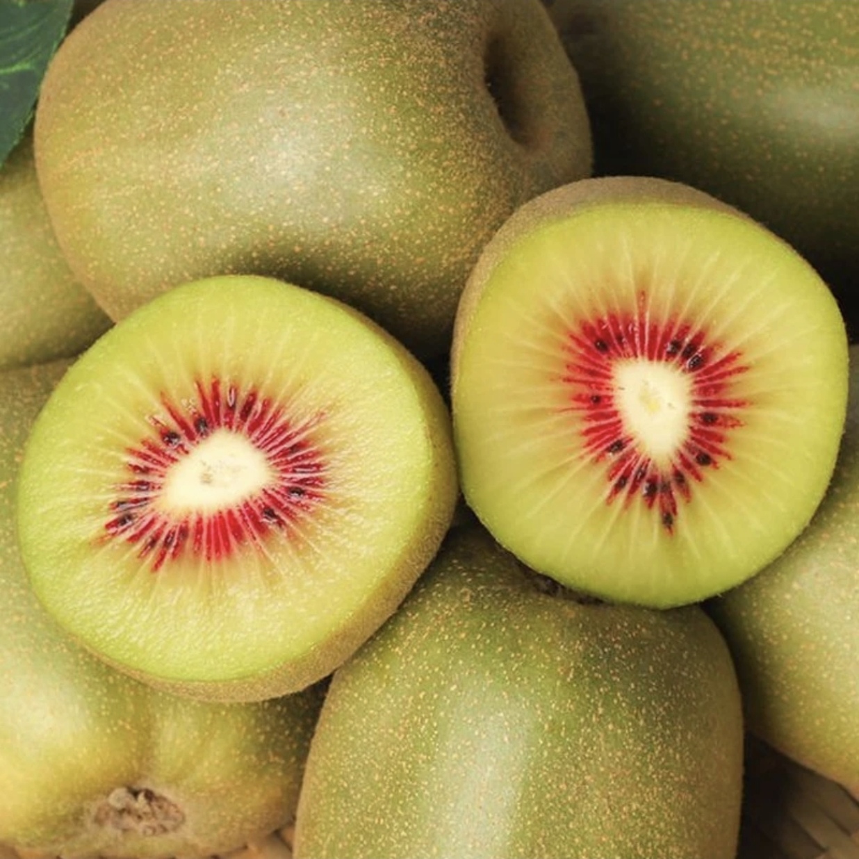 红心猕猴桃带箱2.9斤左右