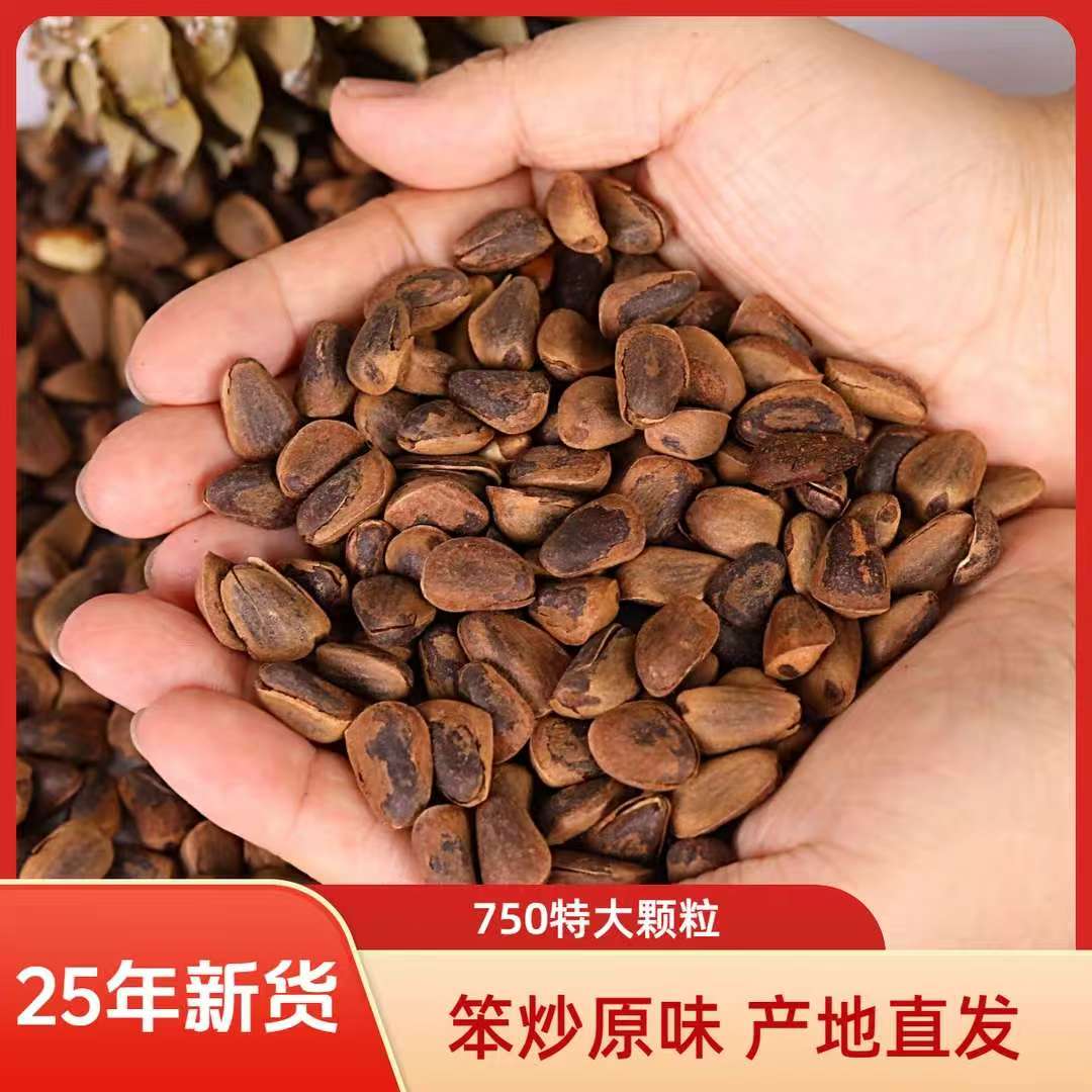 新货笨炒750特大颗粒原味开口松子东北松子营养坚果