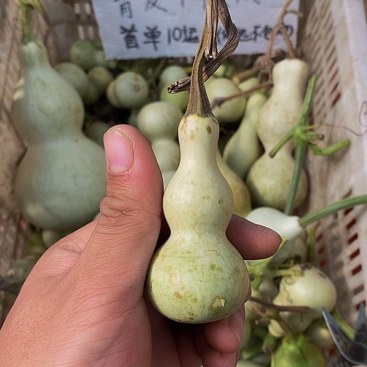 青**白哈哈哈哈哈哈哈哈哈
