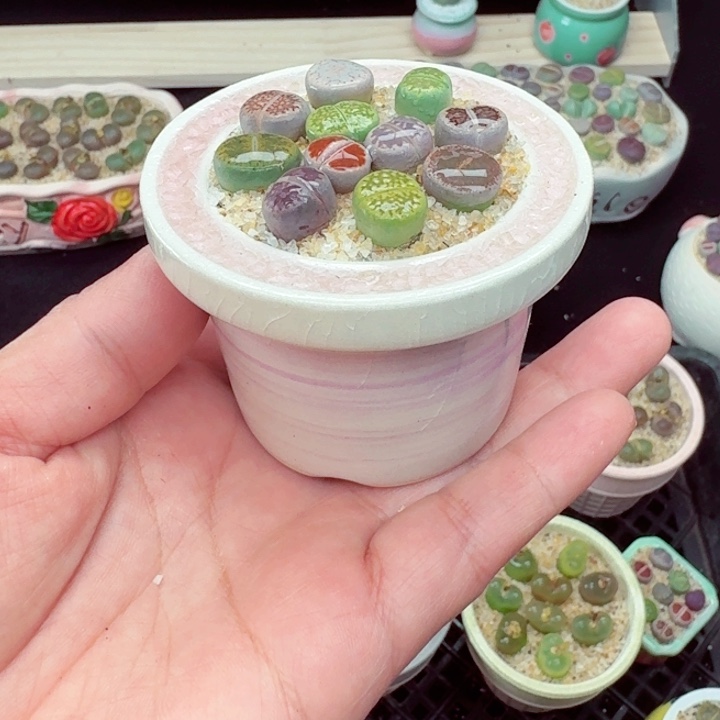 513零下地区记得拍保温箱