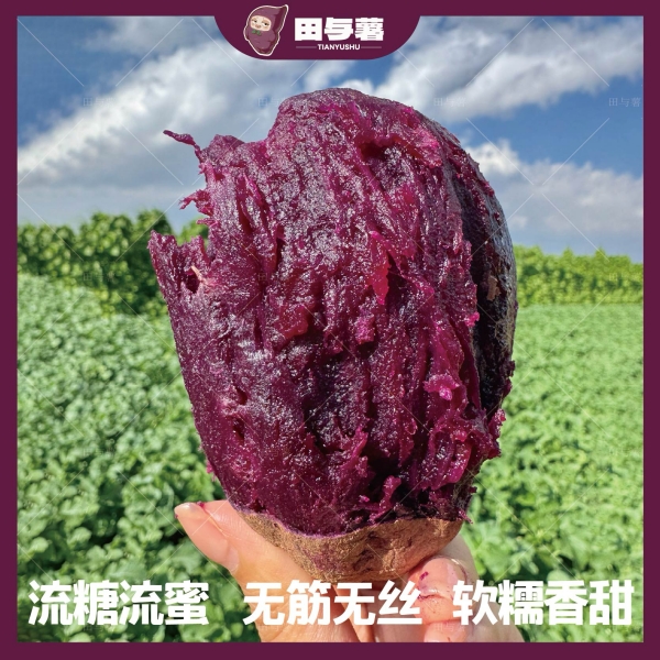 田与薯黑美人紫薯·云南高原紫薯沙地紫薯粉糯细腻糖心紫薯不干噎