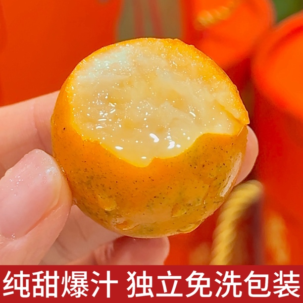 第四代融安脆密金柑纯甜多汁免洗独立包装【顺丰包邮 坏果包赔】