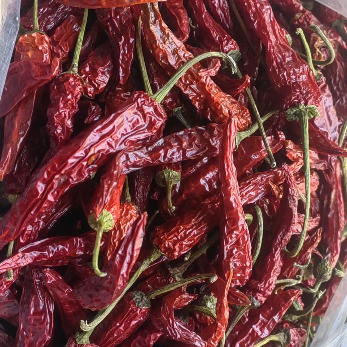 广西桂林龙脊辣椒，高山特产