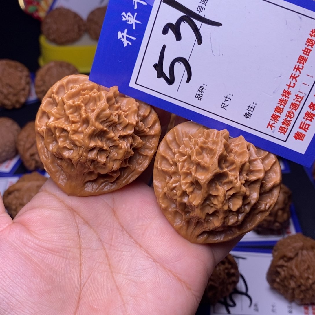 531号链接帝王4.9尺000000