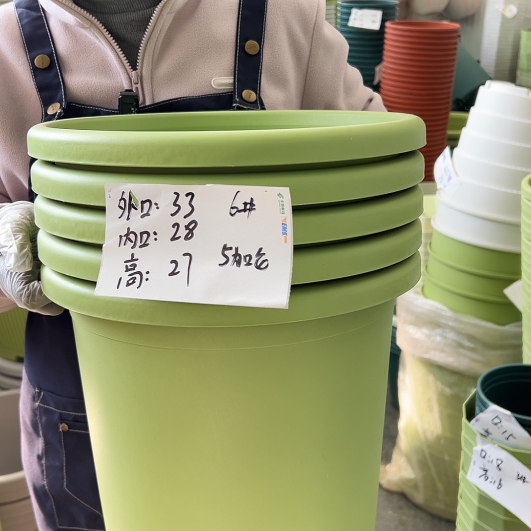 四季盆6#果绿色5个无托