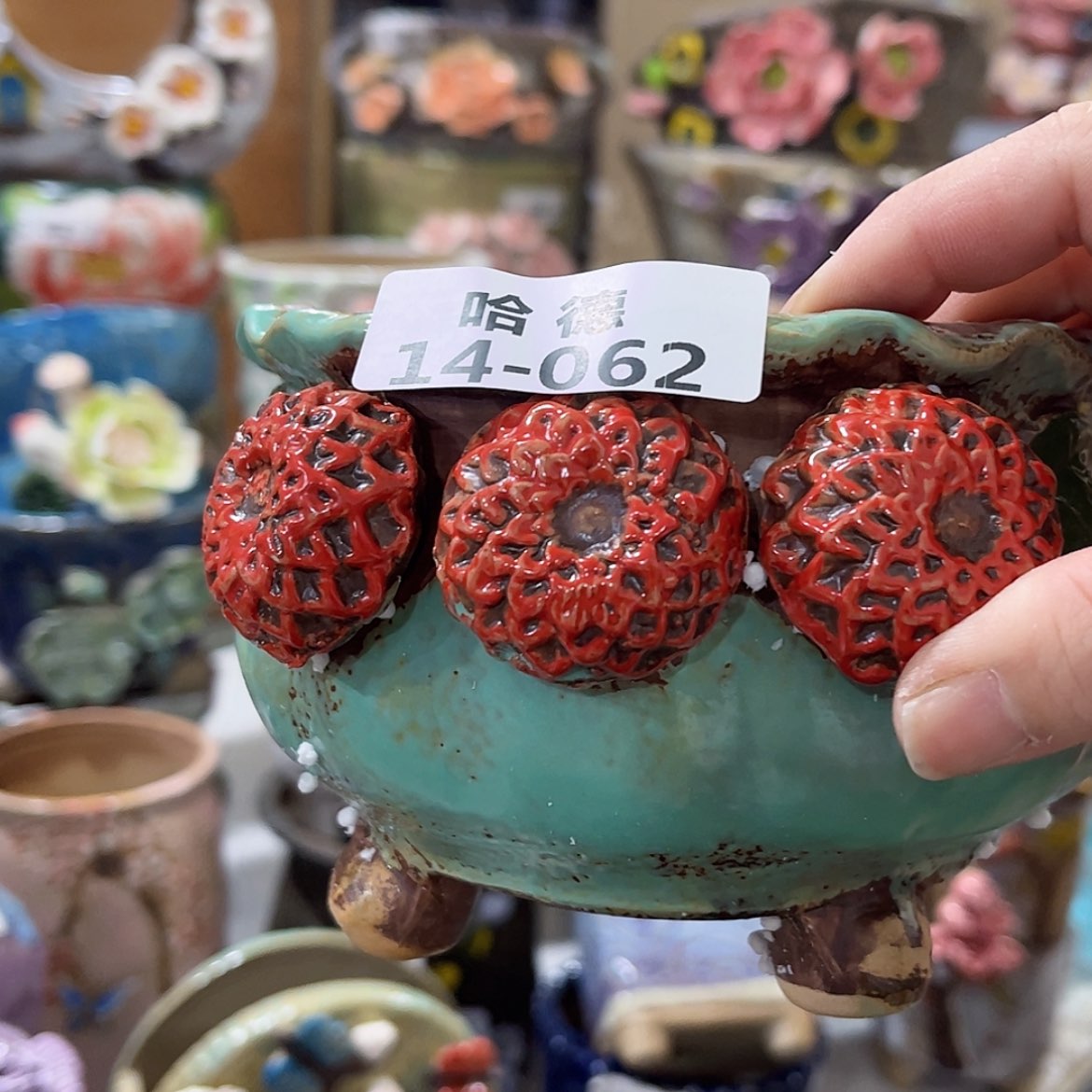 【闪购商品】红陶1462