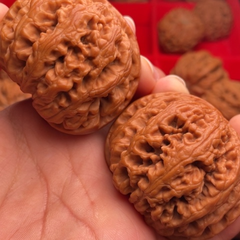 文玩核桃把件秦岭山脉核桃