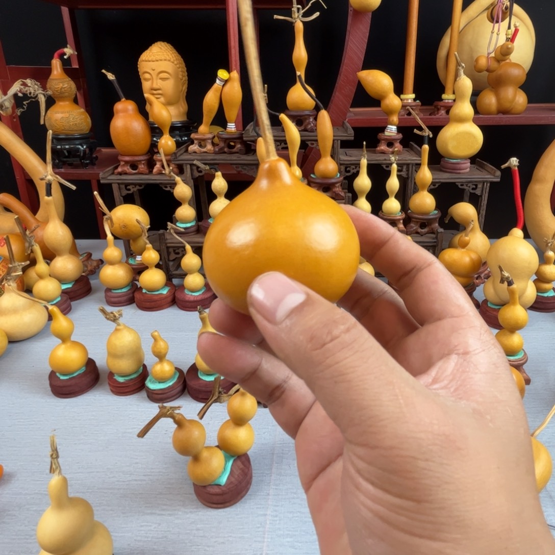 顺***水藤木我的小可爱，一点也不像个女孩