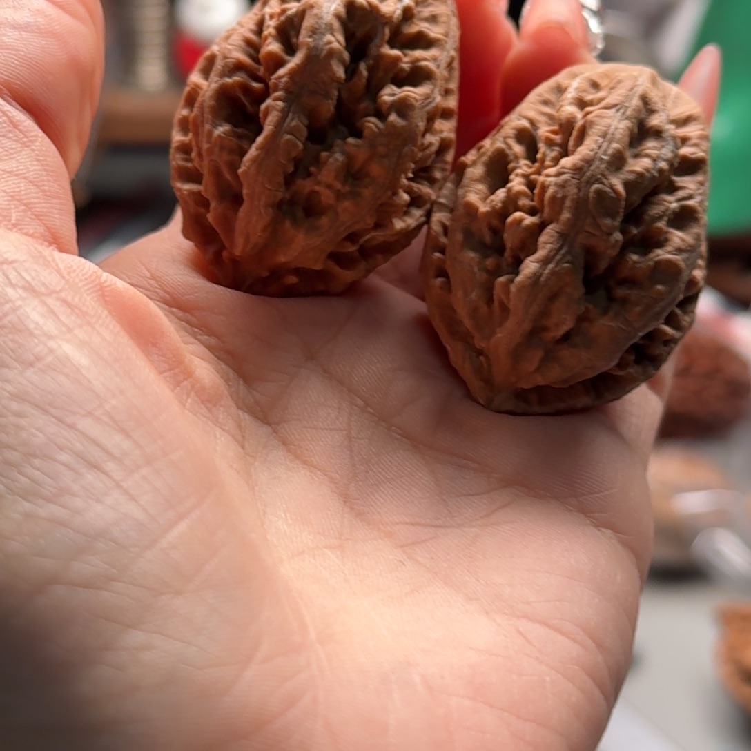 文玩核桃把件关东木子楸百核236