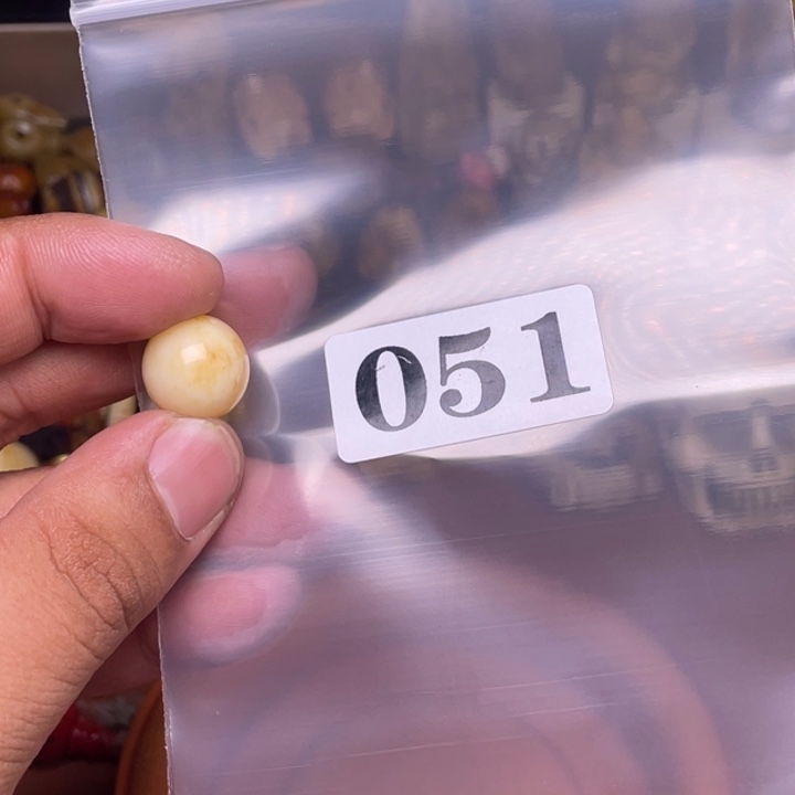 驼骨摆件人工养殖