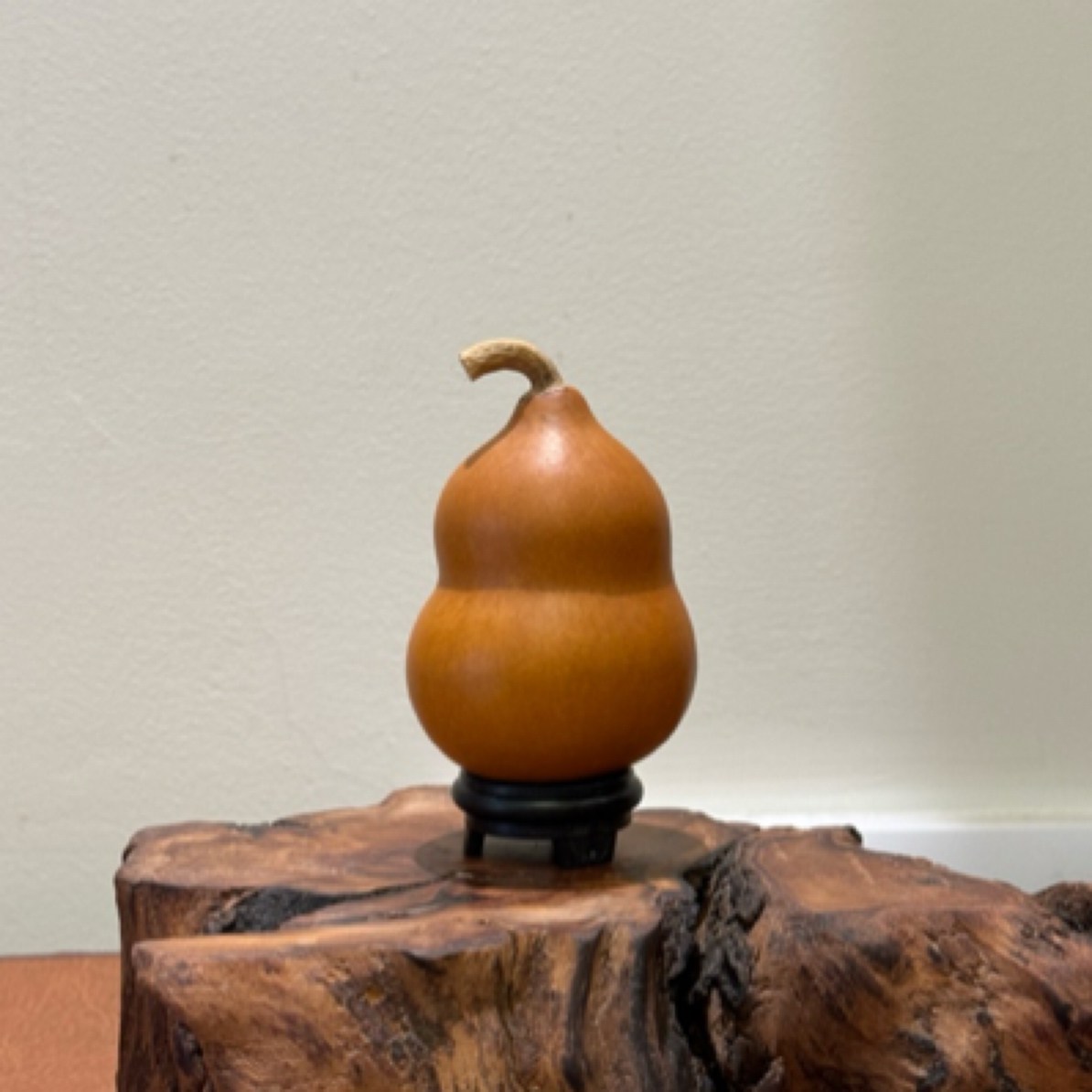 精品葫芦一物一拍链接