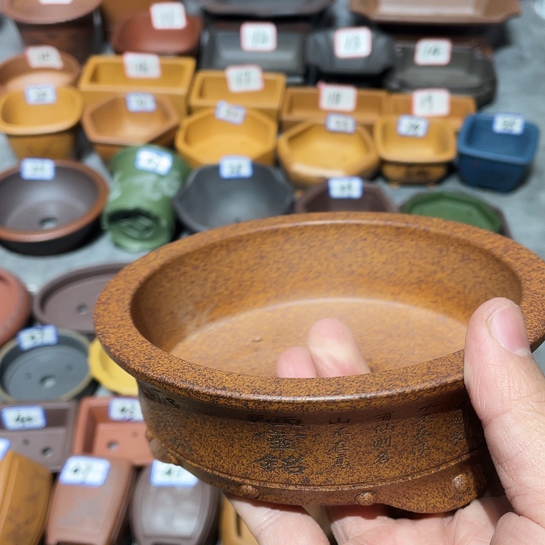 紫砂小盆12.5*3.5cmmmm