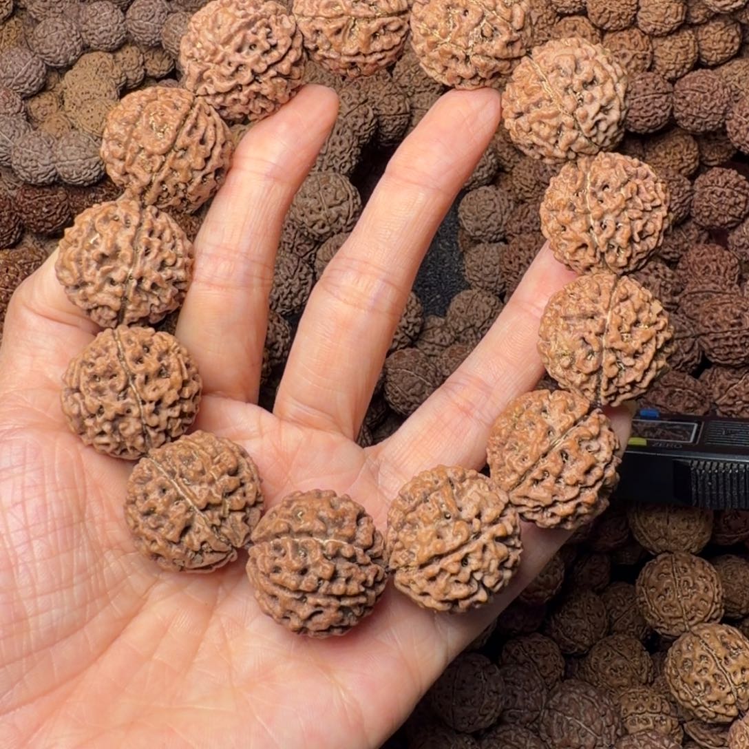 金刚菩提手串8瓣卡24尺，60号