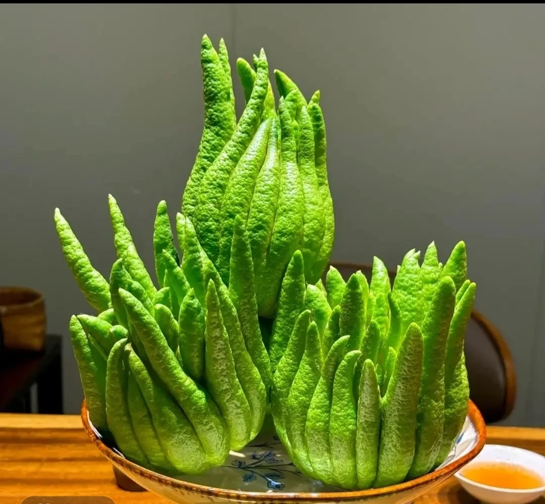 【精品两斤半以上佛手柑】云南高山佛手天然香薰 清供水培干养植物