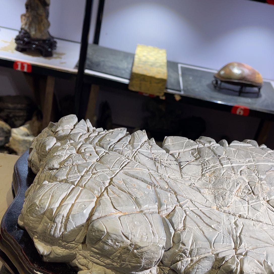 紫砂全场都不包邮我**我