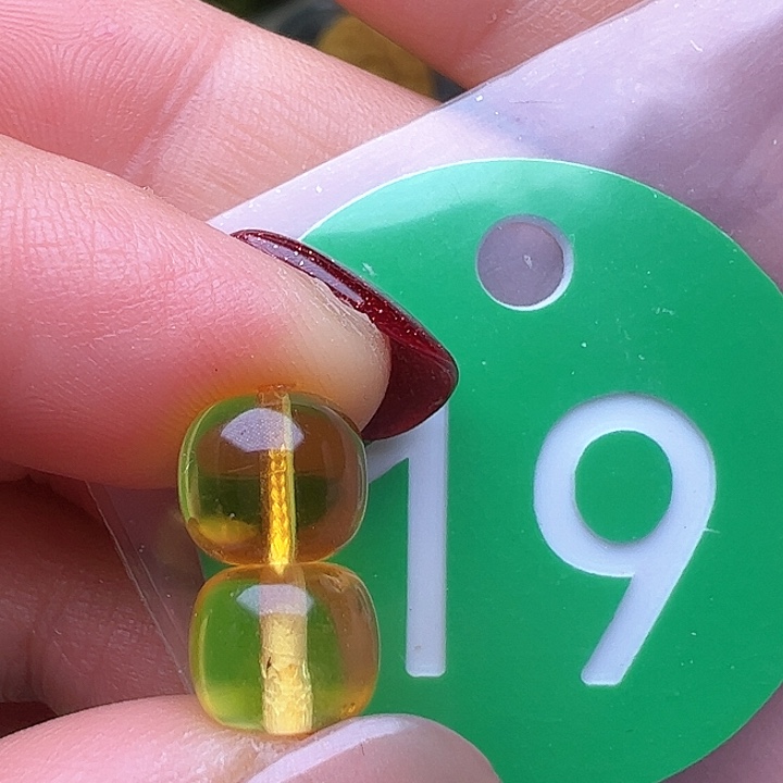 蜜蜡裸石未镶嵌金沙8m m