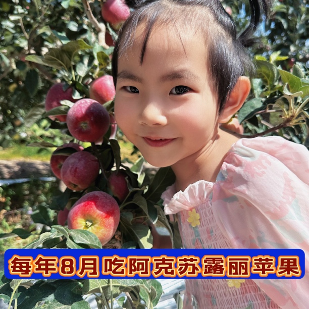 新疆阿克苏露丽小苹果8斤2025年新果硬脆香甜微酸不打蜡不套袋