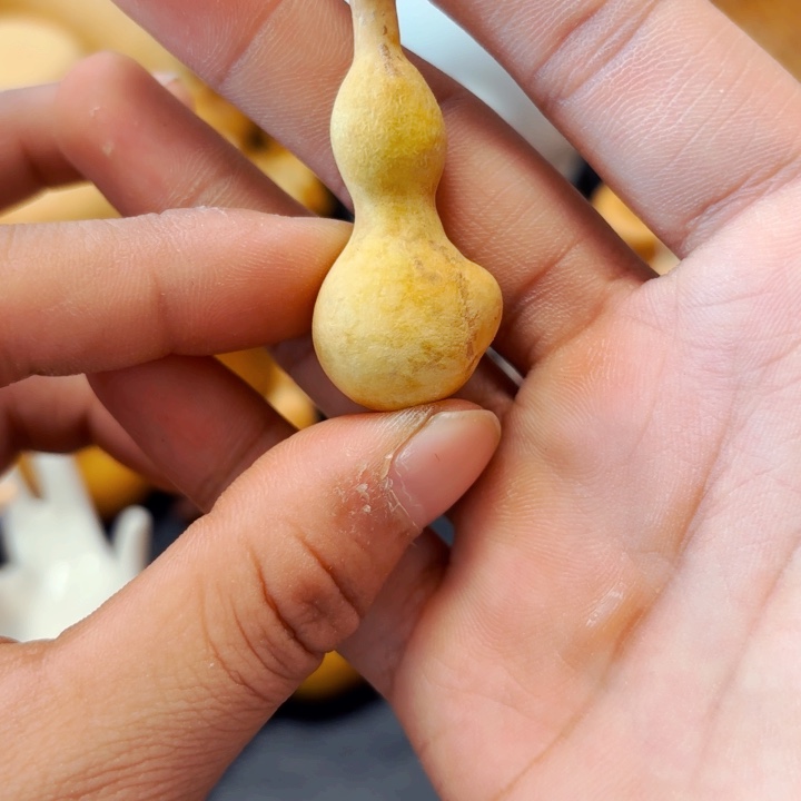 重**锋888888888888888888