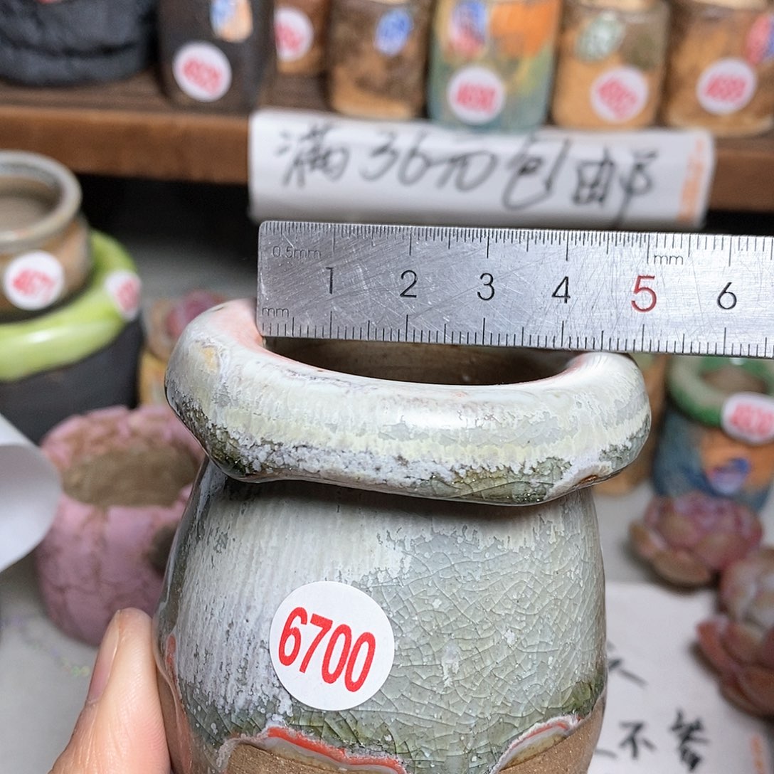 红陶拍5送一个小