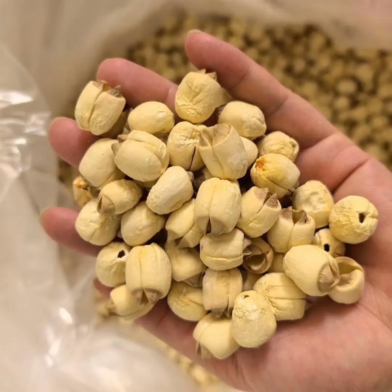 新鲜莲蓬现剥皮干莲子