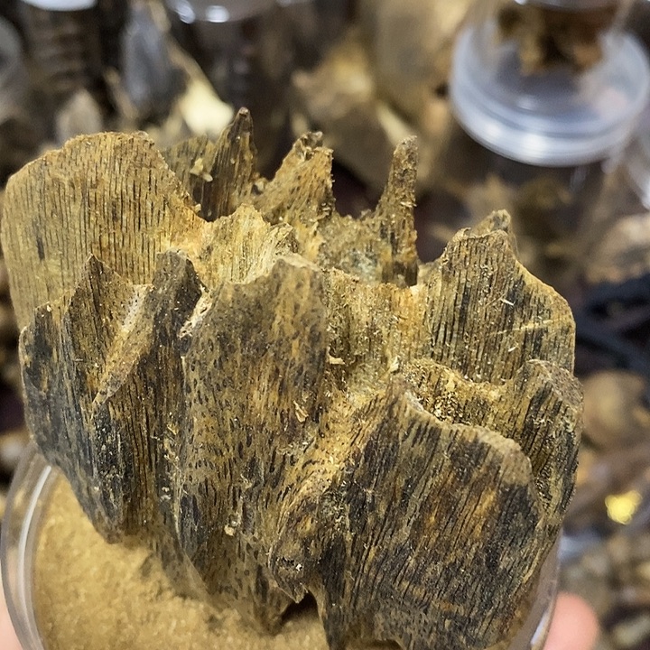 摆件粉一起奇奇奇