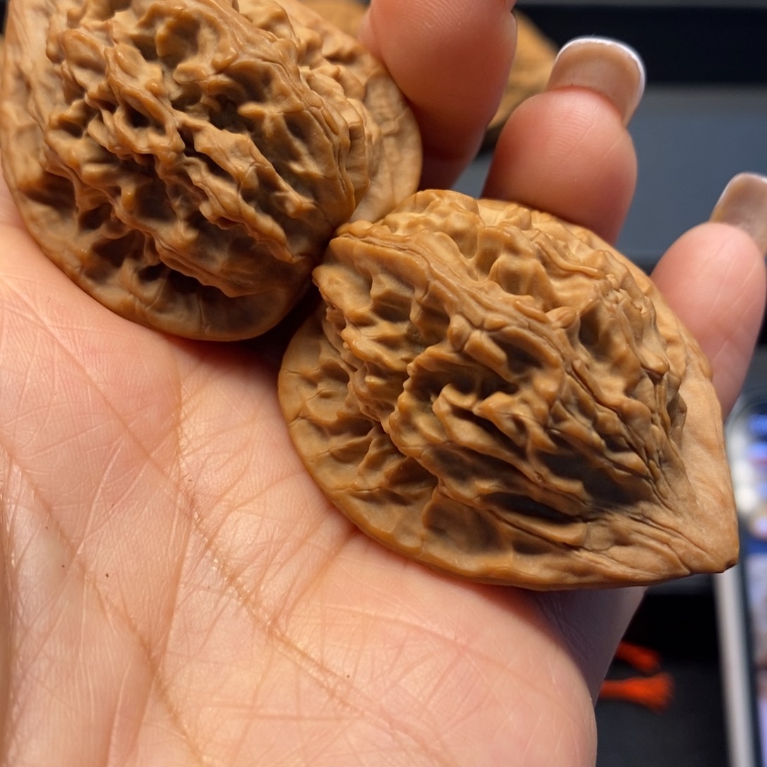 以**马秦岭南风雨兼程地开展各种