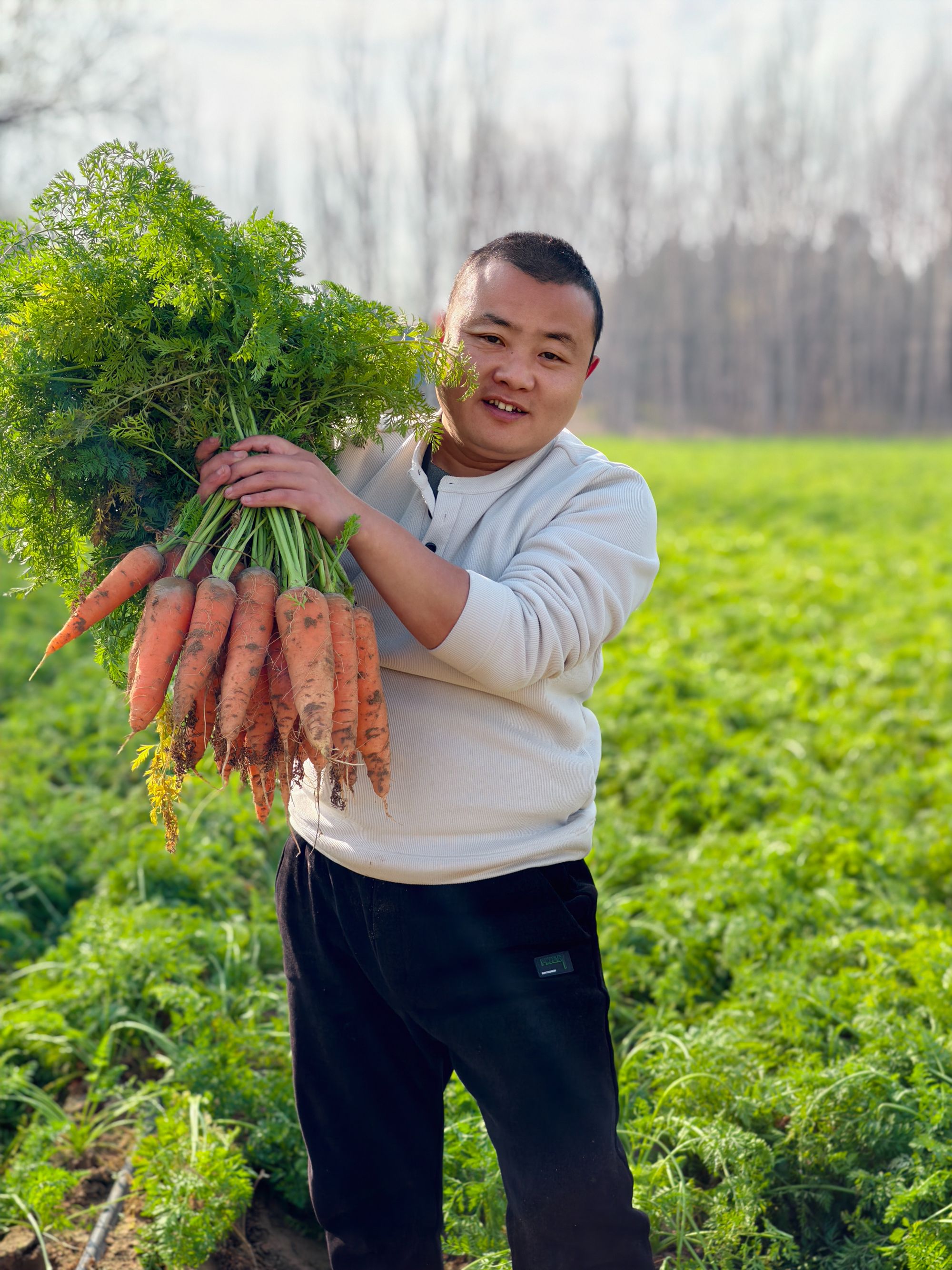 [霜打老品种胡萝卜]地头新鲜现挖老品种冰糖心精品胡萝卜产地直发