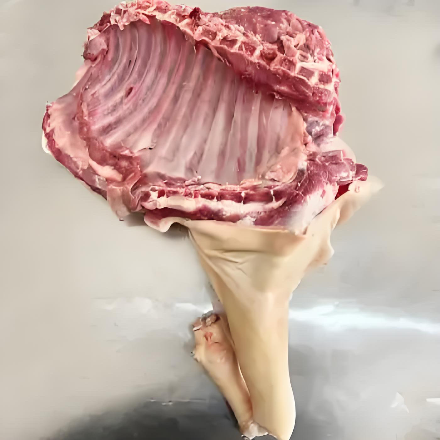 前腿带羊排5-15斤 半羊%腿排整扇/切块 以实物为准 顺丰包邮 