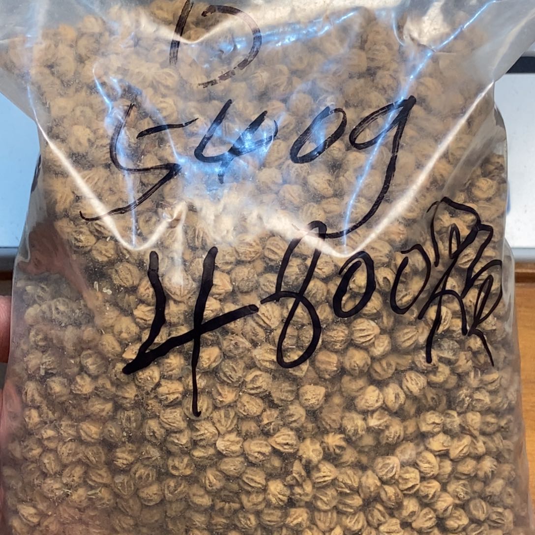 吊坠柏香籽/百香籽