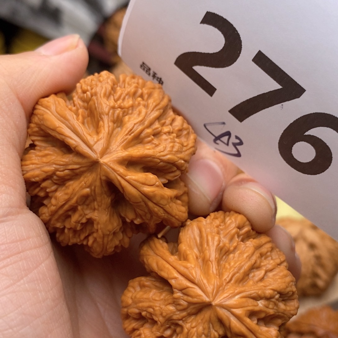 文玩核桃把件376号43全粗筋