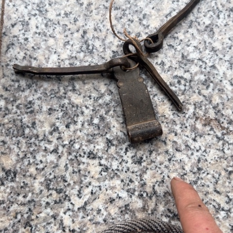 核桃木/黑胡桃（胡桃木）