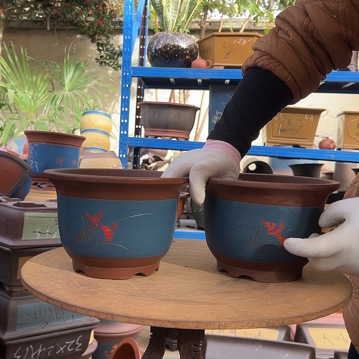 20+20蓝平角点菜金钟花盆