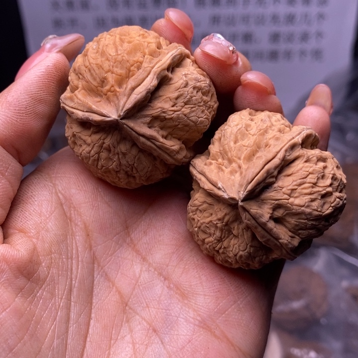 核桃云南野生铁核桃155号38