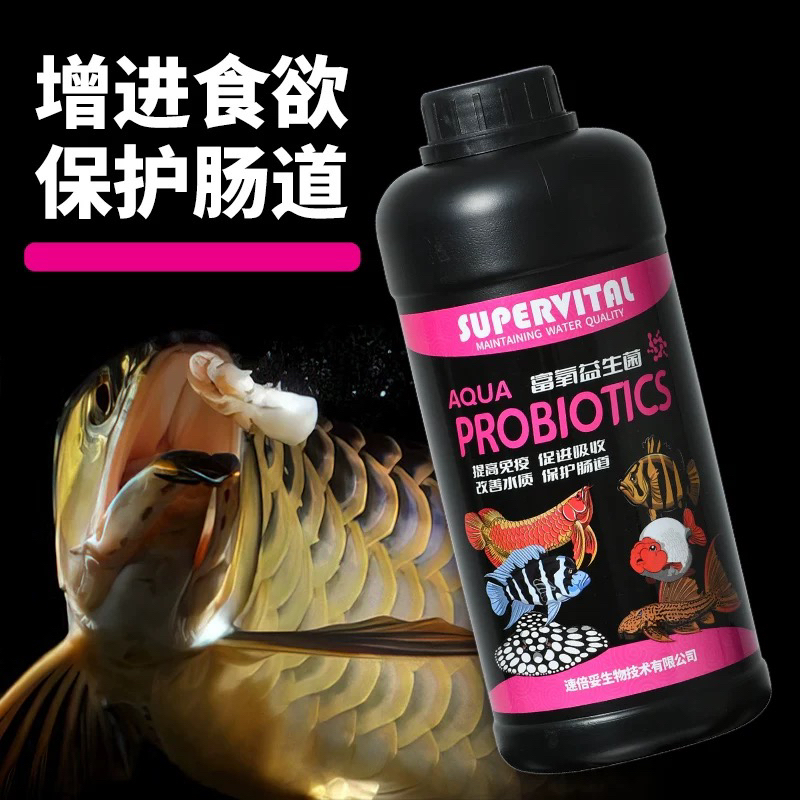 速倍妥二代富氧益生菌调节观赏鱼鱼缸水质解决鱼厌食问题