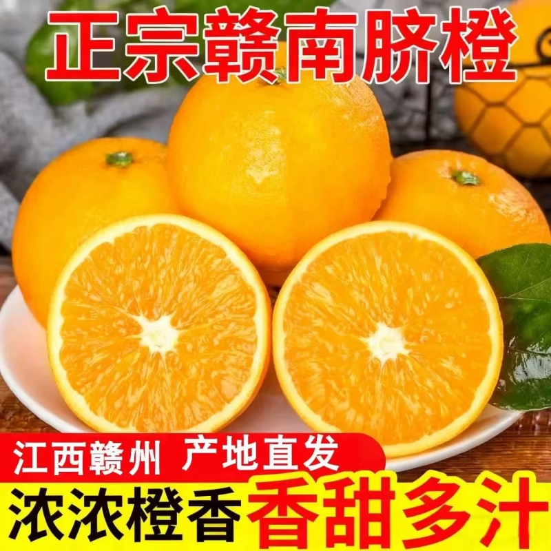 正宗江西赣南脐橙新鲜现摘现发当季水果精品大果鲜嫩多汁产地直发